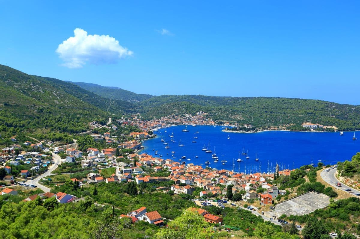 Vis
