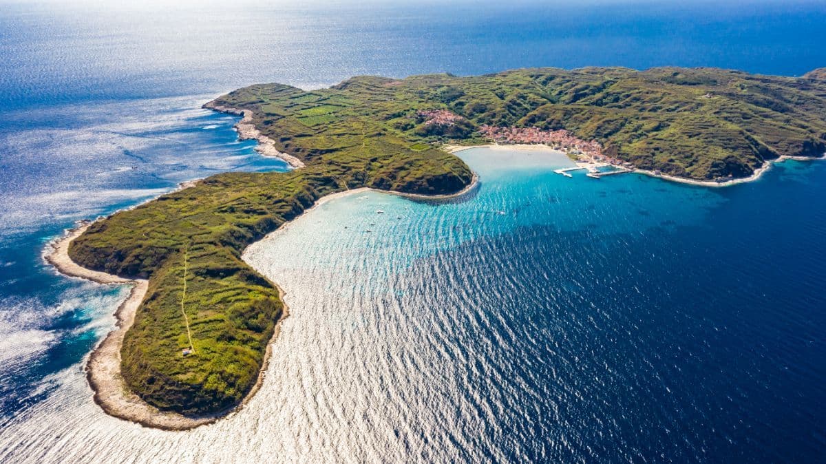Susak