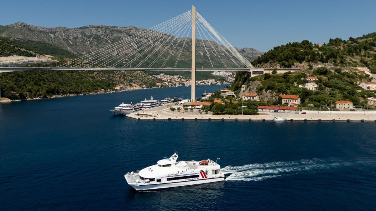 Krilo Nomadic